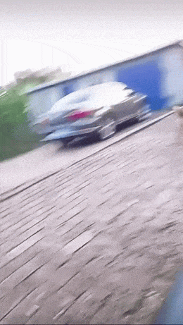 Acid GIFs, September 4 (25 gifs) Acid GIFs, September 4 (25 gifs)