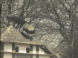 Acid GIFs, September 4 (25 gifs) Acid GIFs, September 4 (25 gifs)