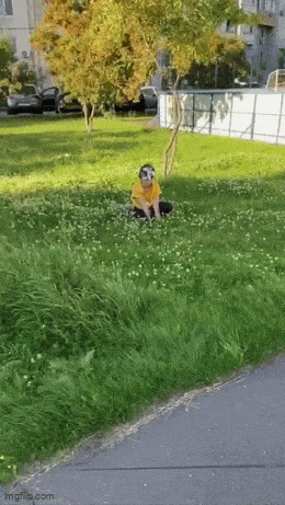 Acid GIFs, September 4 (25 gifs) Acid GIFs, September 4 (25 gifs)