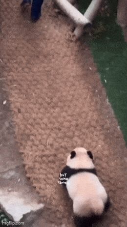 Acid GIFs, September 4 (25 gifs) Acid GIFs, September 4 (25 gifs)