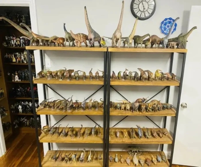 Impressive Collections (22 pics)
