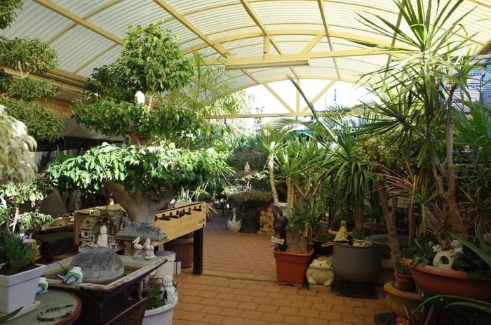 Impressive Collections (22 pics)