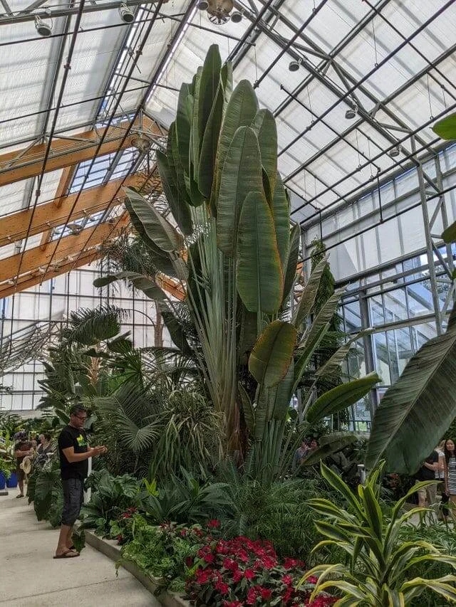 Giant Things (19 pics)
