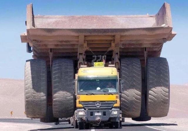 Giant Things (19 pics)