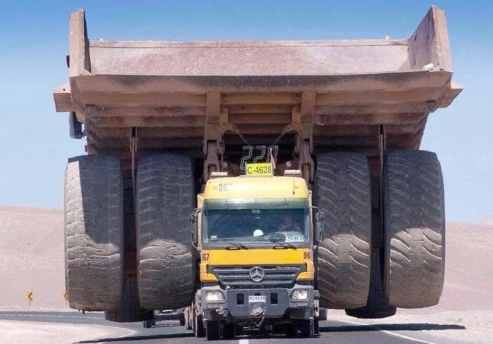 Giant Things (19 pics)