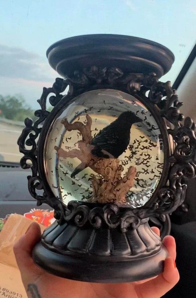 Unusual Finds In Thrift Shops (16 pics)