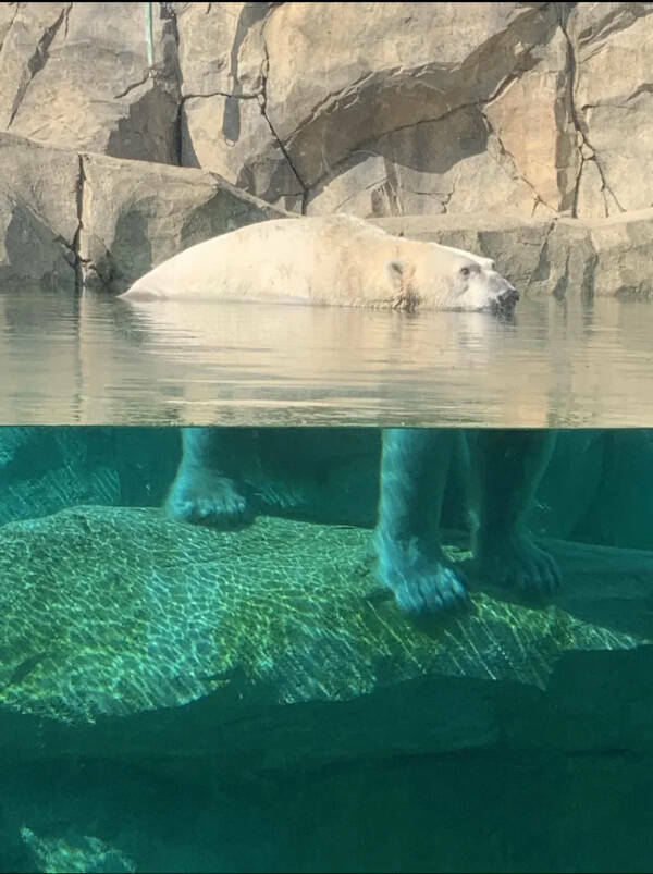 Daily Pictures. Part 1 (62 pics)