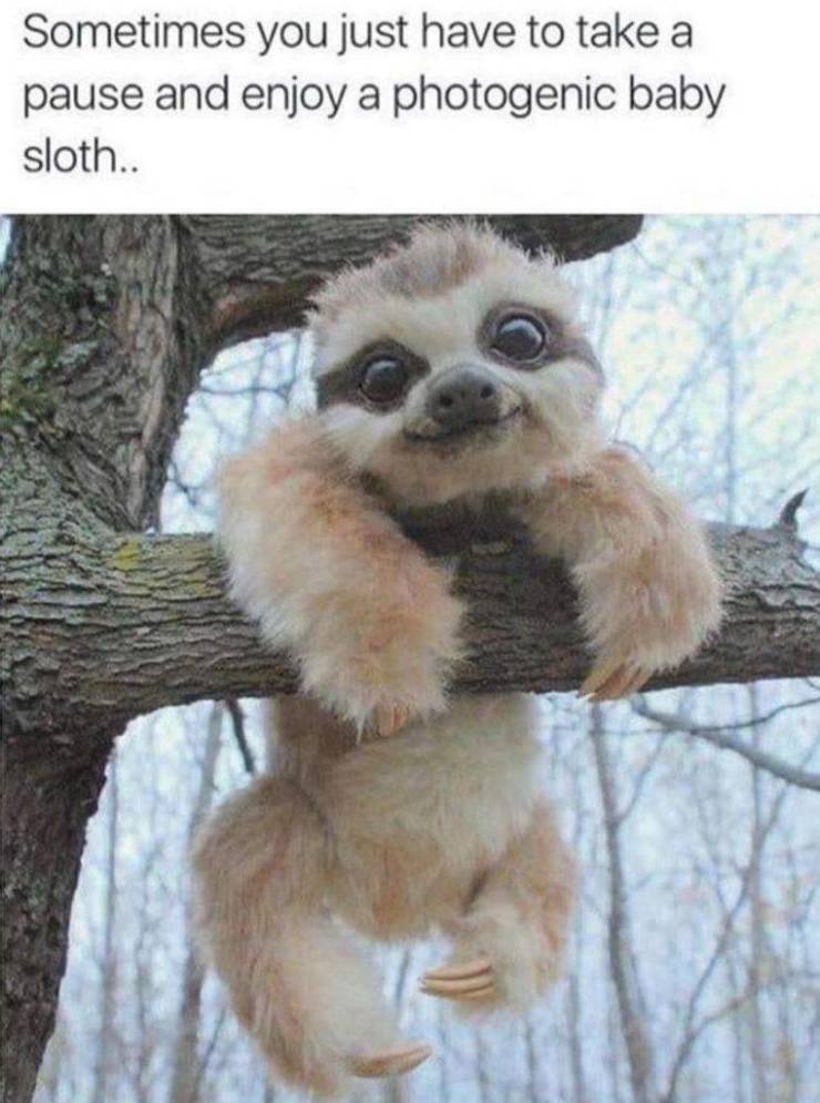 Daily Pictures. Part 2 (61 pics)