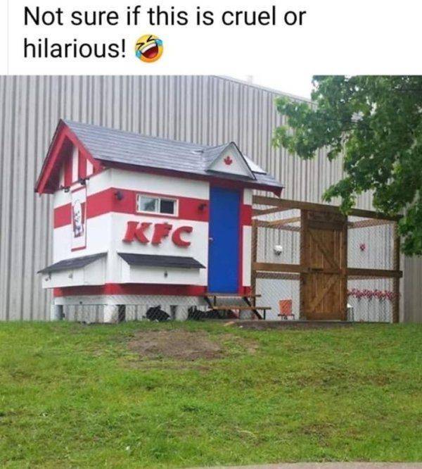 Daily Pictures. Part 2 (61 pics)