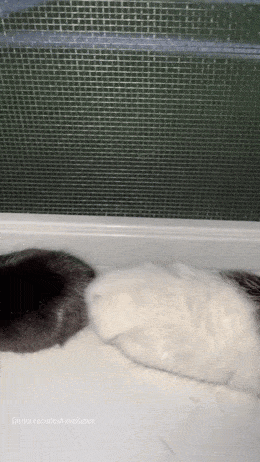 Acid GIFs, September 5 (25 gifs) Acid GIFs, September 5 (25 gifs)