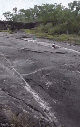 Acid GIFs, September 5 (25 gifs) Acid GIFs, September 5 (25 gifs)