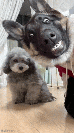Acid GIFs, September 5 (25 gifs) Acid GIFs, September 5 (25 gifs)