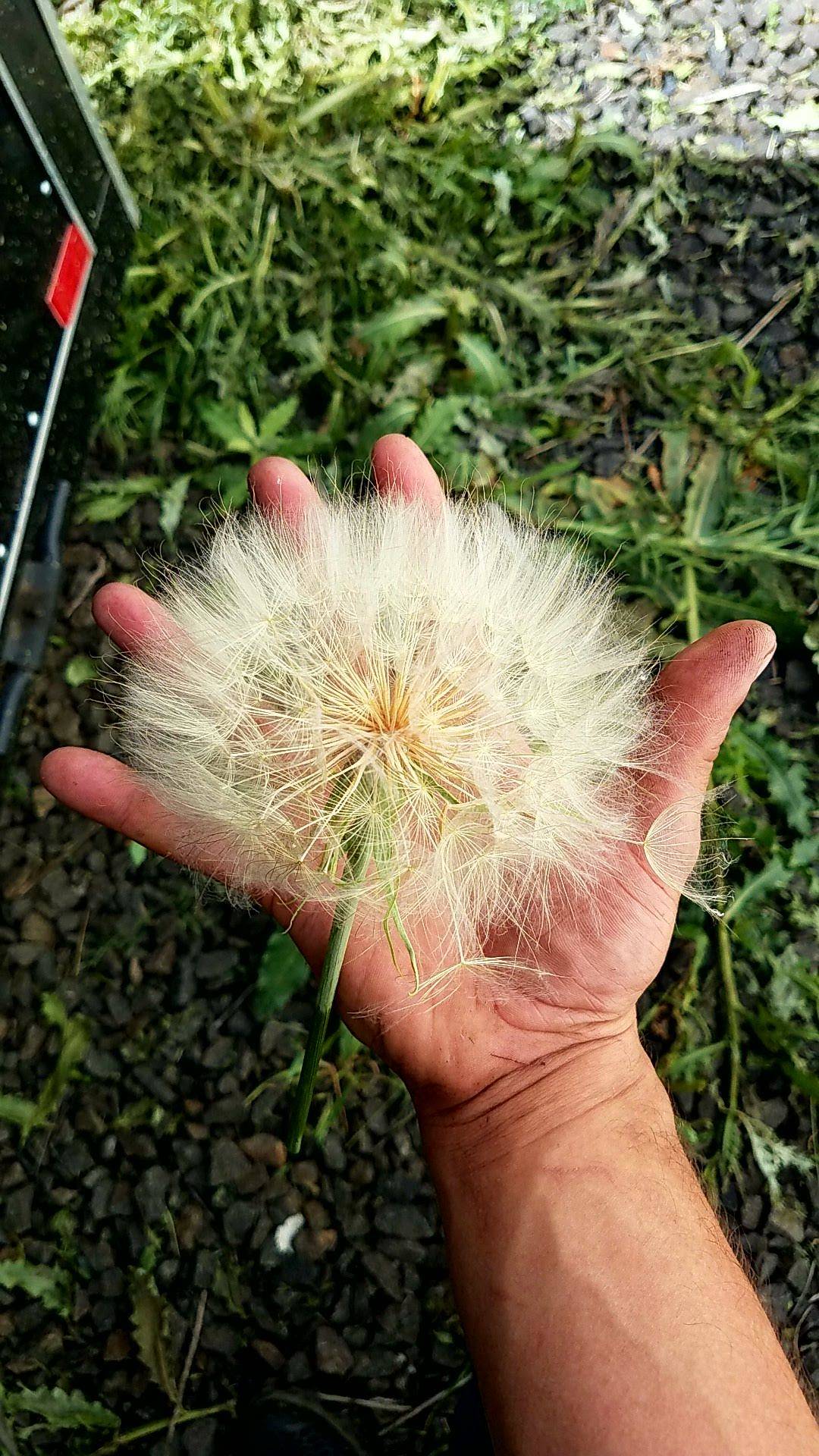 Daily Pictures. Part 1 (64 pics)