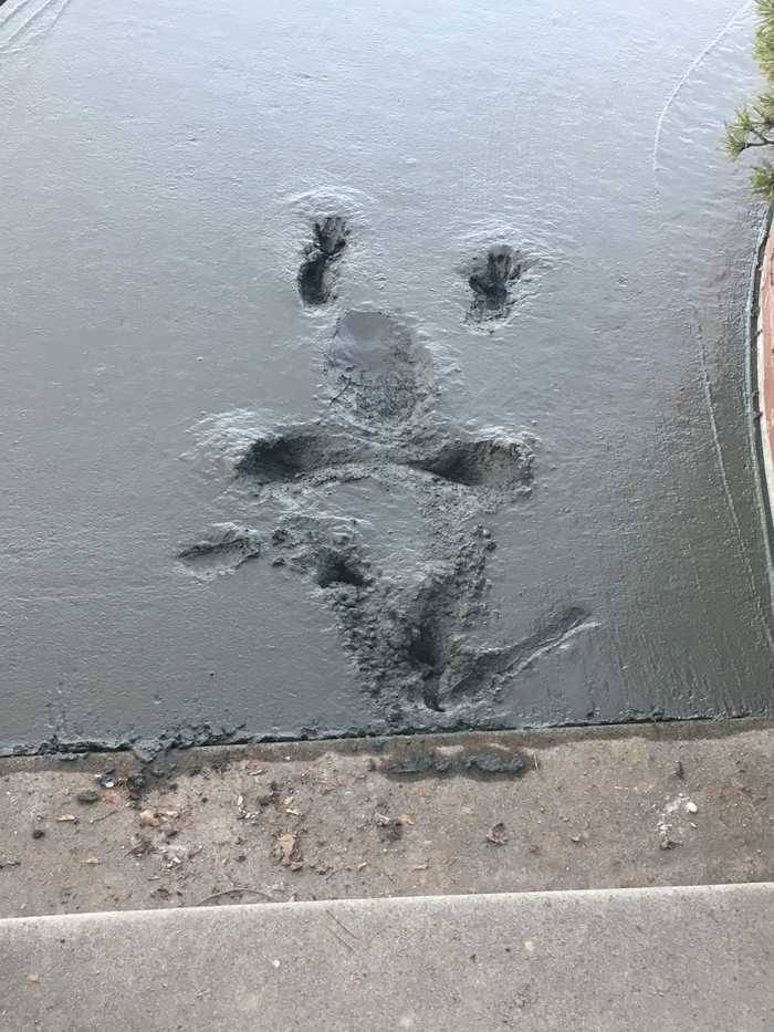 Daily Pictures. Part 1 (64 pics)