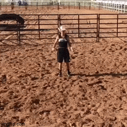 Acid GIFs, September 8 (25 gifs) Acid GIFs, September 8 (25 gifs)