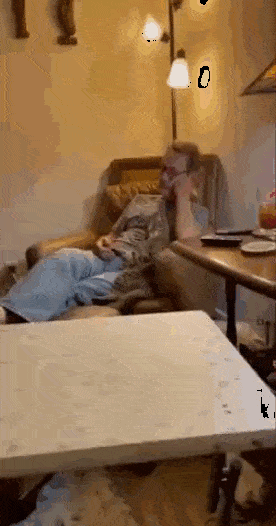 Acid GIFs, September 8 (25 gifs)