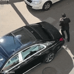 Acid GIFs, September 8 (25 gifs) Acid GIFs, September 8 (25 gifs)