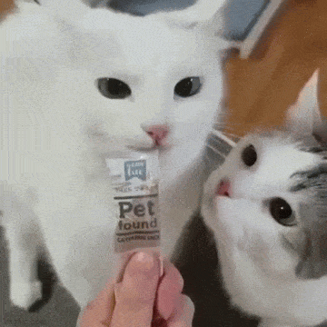 Acid GIFs, September 8 (25 gifs) Acid GIFs, September 8 (25 gifs)