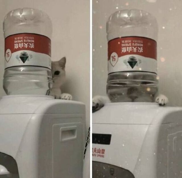 What Is Going On Here? (18 pics)