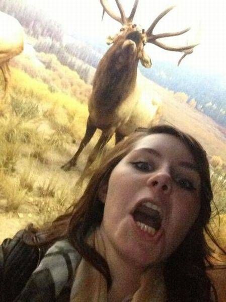 Daily Pictures. Part 1 (64 pics)