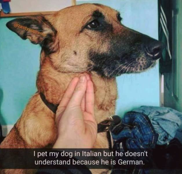 Daily Pictures. Part 2 (63 pics)
