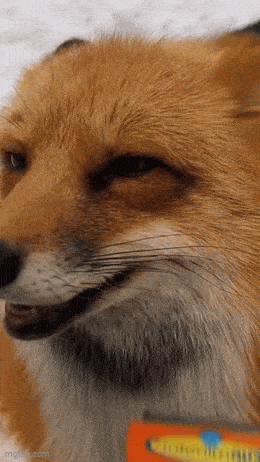 Acid GIFs, September 9 (25 gifs)