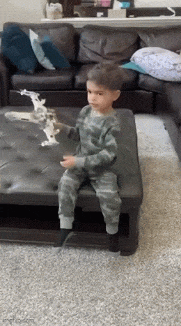 Acid GIFs, September 9 (25 gifs)
