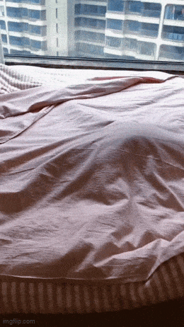 Acid GIFs, September 9 (25 gifs)