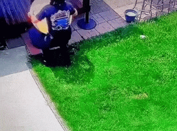 Acid GIFs, September 9 (25 gifs)
