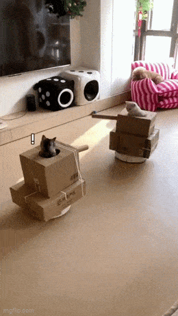 Acid GIFs, September 9 (25 gifs)