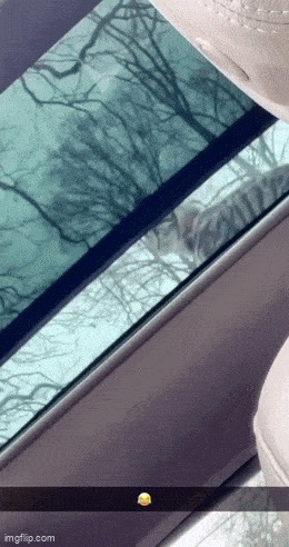 Acid GIFs, September 9 (25 gifs)