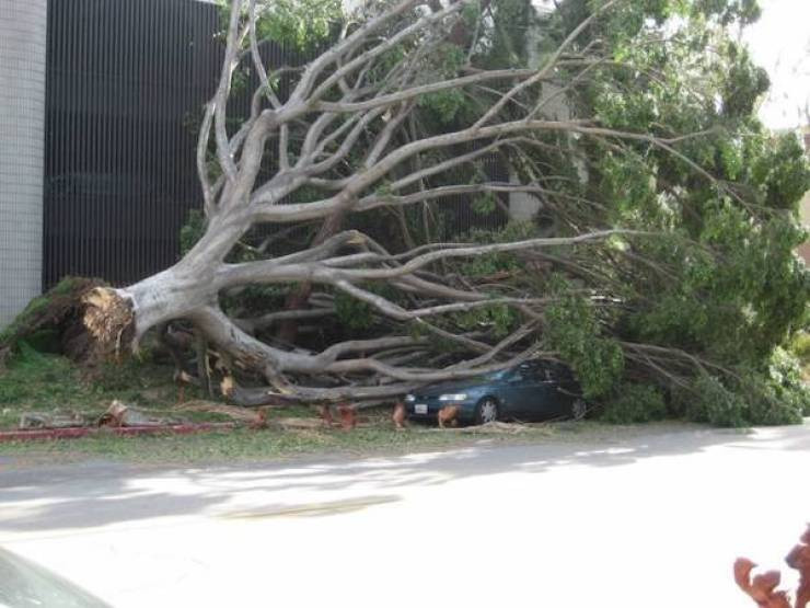 Weird Car Crashes (22 pics)