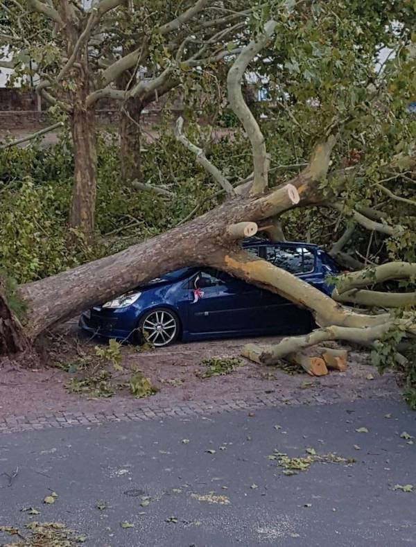 Weird Car Crashes (22 pics)