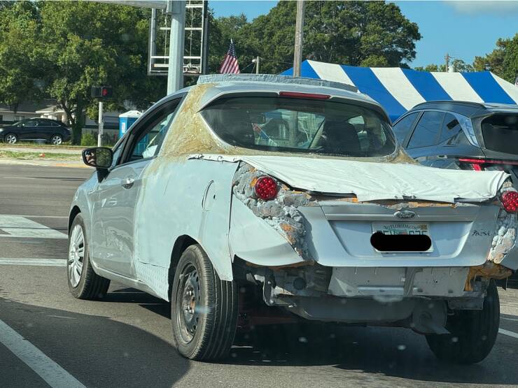 Daily Pictures. Part 2 (64 pics)