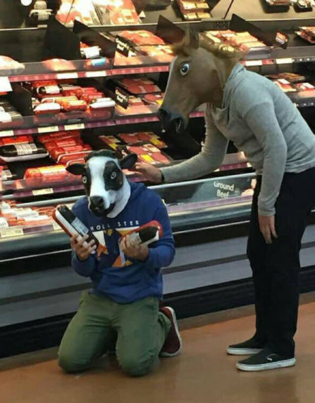 Daily Pictures. Part 2 (64 pics)
