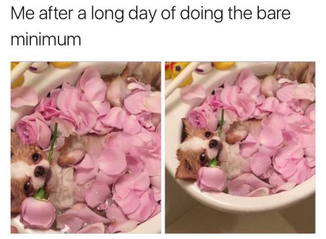 Daily Pictures. Part 2 (64 pics)