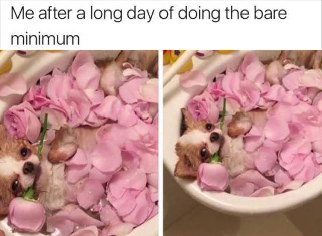 Daily Pictures. Part 2 (64 pics)