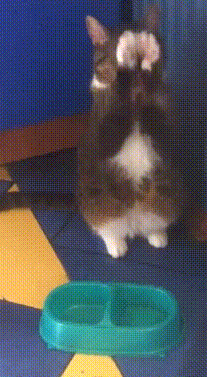 Acid GIFs, September 10 (25 gifs) Acid GIFs, September 10 (25 gifs)