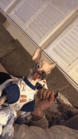 Acid GIFs, September 10 (25 gifs) Acid GIFs, September 10 (25 gifs)
