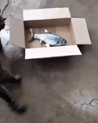 Acid GIFs, September 10 (25 gifs) Acid GIFs, September 10 (25 gifs)