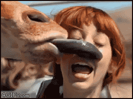 Acid GIFs, September 10 (25 gifs) Acid GIFs, September 10 (25 gifs)
