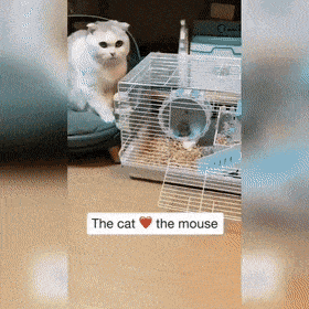 Acid GIFs, September 10 (25 gifs) Acid GIFs, September 10 (25 gifs)