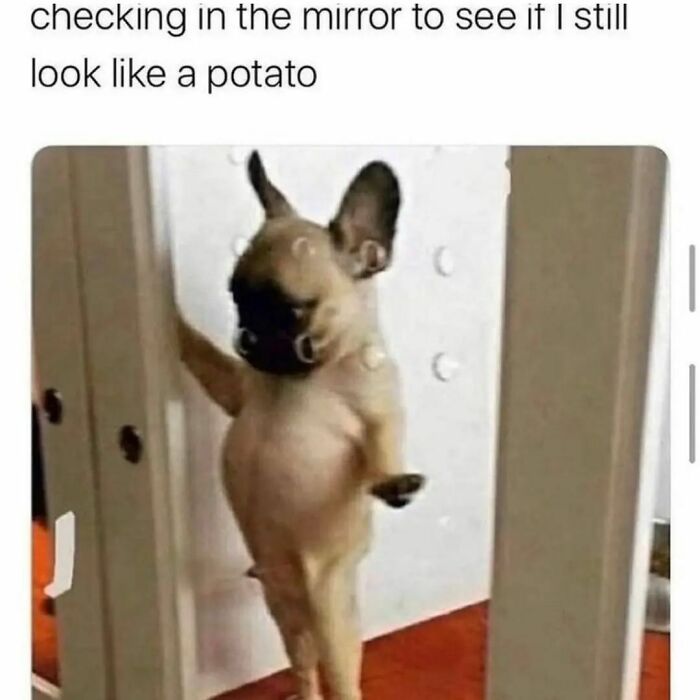 Daily Pictures. Part 2 (64 pics)