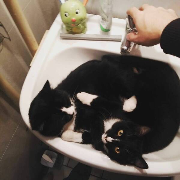 Daily Pictures. Part 2 (64 pics)