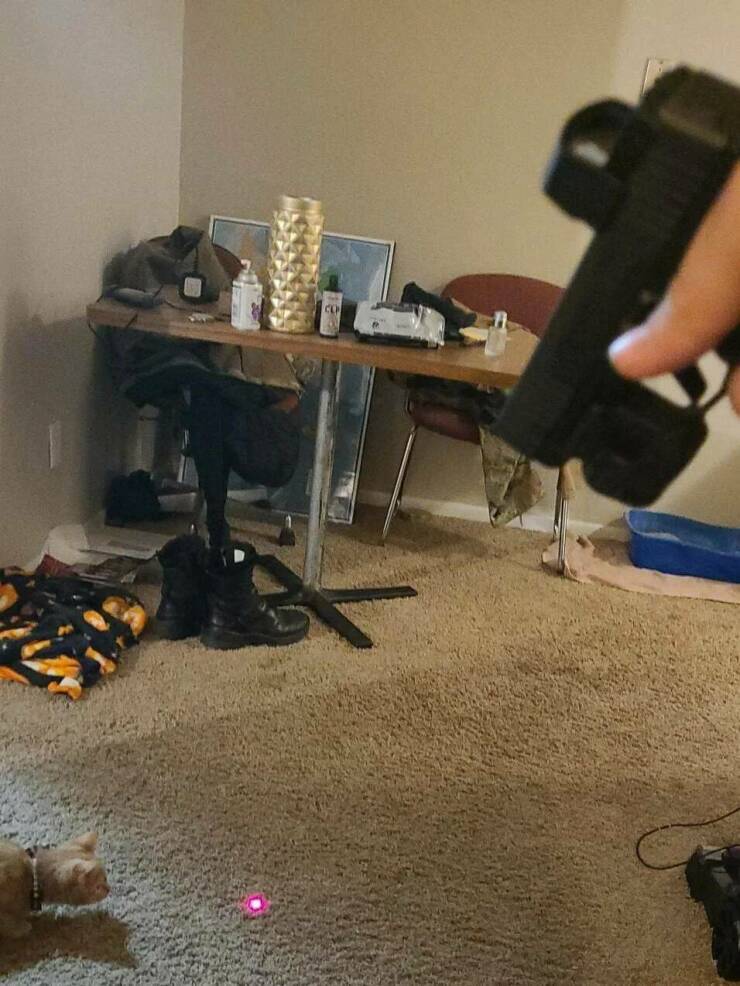 Daily Pictures. Part 2 (64 pics)