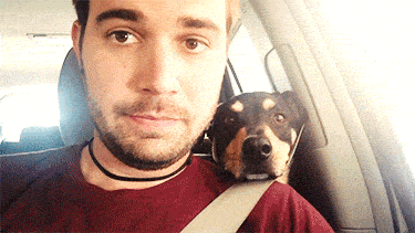 Acid GIFs, September 11 (25 gifs)