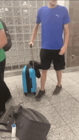 Acid GIFs, September 11 (25 gifs)