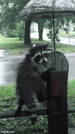 Acid GIFs, September 11 (25 gifs)