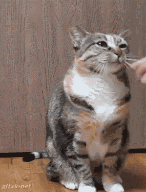 Acid GIFs, September 11 (25 gifs)
