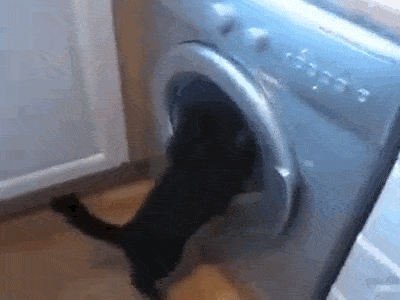 Acid GIFs, September 11 (25 gifs)